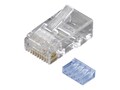 Black Box Cat6 Modular Plugs, Pack of 250, FMTP6-R2-250PAK, 10881809, Cable Accessories