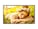LG Electronics 32UL5Q-M Image 1 from Front LG Electronics 32UL5Q-M Image 1 from Front