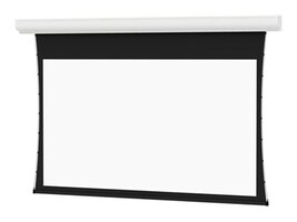 Da-Lite Screen Company 35173L                         Main Image from Right-angle