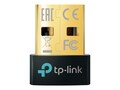 TP-LINK Bluetooth 5.0 Nano USB Adapter , UB500, 41310386, Wireless Adapters & NICs