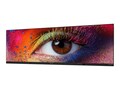 Optoma UWC245 245 AiO COB LED, UWC245                        , 42176394, Monitors - Video Wall