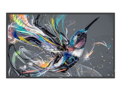 Philips 42.5 Q-line 4K Ultra HD LED-LCD Display, 43BDL3650Q/00, 41743650, Monitors - Large Format