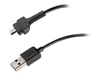 Cusco Zelfrespect Maar Plantronics USB to Micro USB Cable for BlackWire 700 Series (89106-01)