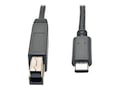 Tripp Lite USB 3.1 Gen 2 Type C to USB 3.0 Type B M M Cable, Black, 3ft, U422-003-G2, 32842721, Cables Tripp Lite USB 3.1 Gen 2 Type C to USB 3.0 Type B M M Cable, Black, 3ft, U422-003-G2, 32842721, Cables