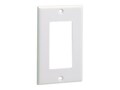 Panduit Faceplate Screw On SNGRECT IG , CPGIG, 41112806, Mounting Hardware - Network