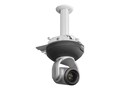 QuickCAT Universal Suspended Ceiling Camera Mount, White, 999-82000-000, 35882867, Stands & Mounts - Digital Signage & TVs