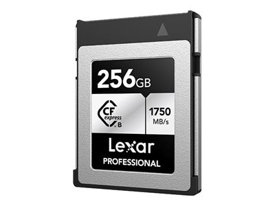 Lexar 256GB Professional SILVER CFexpress Type B Card, LCXEXSL256G-RNENG             , 41884352, Memory - Flash