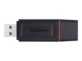 Kingston DTX/256GB Main Image from Front