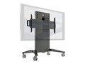 Salamander X-Large Fixed Height Mobile Display Stand, FPS1XL/FH/GG, 41114810, Stands & Mounts - Digital Signage & TVs