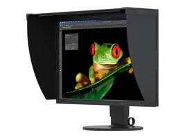 EIZO CG2420-BK Main Image from Right-angle