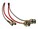 ENET T3E3-RF-BNC-FENC Image 1 from 