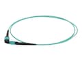 AddOn MPO (Female) to MPO (Female) 12-strand OM4 Crossover Fiber Plenum Patch Cable, Aqua, 7m, TAA, ADD-MPOMPO-7M5OM4-TAA, 41518171, Cables AddOn MPO (Female) to MPO (Female) 12-strand OM4 Crossover Fiber Plenum Patch Cable, Aqua, 7m, TAA, ADD-MPOMPO-7M5OM4-TAA, 41518171, Cables