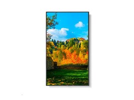 Sharp Imaging and Information Company of America M551-PC5 Main Image from Front