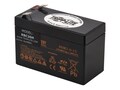 Tripp Lite Replacement Battery AVR550U AVRX550U UPS , RBC36H, 38222952, Batteries - UPS