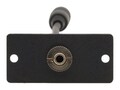 Kramer 3.5mm F Pass Through - Black, WA-1PN(B)                     , 41957447, Premise Wiring Equipment