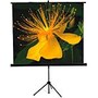 Mustang AV Projection Screen with Tripod, Matte White. 1:1, 99in, SC-T7011, 8125983, Projector Screens