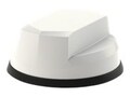 Panorama Antennas Panorama 5G 5-1 CRADLEPOINT WHT LP Dome Black 5 in , LG-IN2457-W, 38120972, Wireless Antennas & Extenders Panorama Antennas Panorama 5G 5-1 CRADLEPOINT WHT LP Dome Black 5 in , LG-IN2457-W, 38120972, Wireless Antennas & Extenders