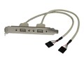 StarTech.com 2 Port USB A Female Slot Plate Adapter - USB Panel, USBPLATE, 169470, Premise Wiring Equipment