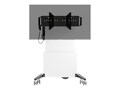 Salamander Mobile Display Stand Cart for Displays up to 70, FPS2/ELT/GG/VW, 41248622, Stands & Mounts - Digital Signage & TVs