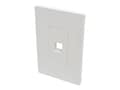 Tripp Lite Single-Gang Universal Keystone Wallplate, 1-Port, White, N080-101, 32466956, Premise Wiring Equipment