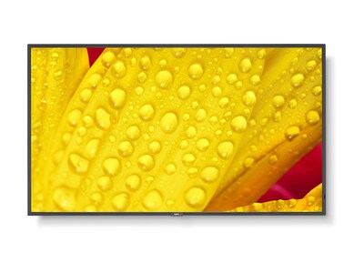 Sharp NEC  43 M Series 4K Ultra HD LED-LCD Display, M431-2                        , 41854315, Monitors - Large Format