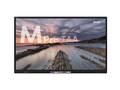 SMART SMART BOARD M055-V5 PRO INTERA, M555-V5-P                     , 41891727, Monitors - Large Format - Touchscreen