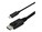 StarTech.com CDP2DPMM1MB Image 5 from Close-up