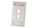 Legrand FPKEYSTONE2HOLESGLBL DESG FOG, KSFP2                         , 42143566, Premise Wiring Equipment