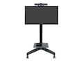 Ergotron Neo-Flex Mobile MediaCenter LD Monitor Cart, 24-190-085, 12487400, Monitor & Display Accessories