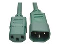 Tripp Lite Heavy Duty Power Extension Cord, 15A, 14AWG IEC-320-C14 to IEC-320-C13, Green, 2ft, P005-002-AGN, 32985887, Power Cords