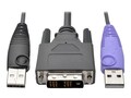 Tripp Lite NetDirector DVI USB Server Interface Unit with Virtual Media and CAC Support , B055-001-UDV, 33625672, KVM Displays & Accessories