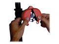 Panduit GATE VALVE LOCKOUT 1IN-2.50IN, PSL-V2A                       , 41994614, Power Converters