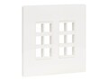 Tripp Lite Keystone Wall Plate 12Port HDMIACCSCAT5 CAT6 CAT6A USB Displayport , N080-212, 37821540, Premise Wiring Equipment
