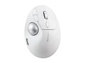 Kensington Pro Fit Ergo TB550 Trackball - White, K72180WWVN, 42069998, Mice & Cursor Control Devices Kensington Pro Fit Ergo TB550 Trackball - White, K72180WWVN, 42069998, Mice & Cursor Control Devices