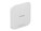 NETGEAR WAX610PA-100NAS Image 3 from Left-angle