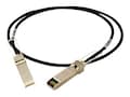 Transition 10Gig Copper Cable, SFP+ to SFP+, 30G, 1m, DAC-10G-SFP-01M, 14469977, Cables