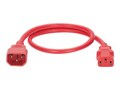 Panduit Non-Locking Power Cord, IEC C14 to IEC C13 - 3 feet , NPCA02-X, 41419247, Power Cords