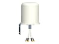 Ventev Innovations 2.4 5 GHz 6 dBi MIMO Outdoor Omni Antenna, M6060060MO1D3620O, 13180274, Wireless Antennas & Extenders