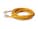 AddOn ADD-1FCAT6NB-YW Image 8 from Right side AddOn ADD-1FCAT6NB-YW Image 8 from Right side