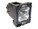 BTI POA-LMP124-BTI Image 1 from Left-angle