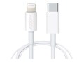 Axiom 6ft LGHT to USB-C CBL M M BLK , LGMUSBCMW06-AX, 41210836, Cables