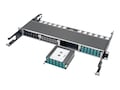 Tripp Lite 100Gb 120Gb to10Gb Breakout Cassette 24-Fiber MTP MPO 12 LC, N484-1M24-LC12, 21327192, Network Device Modules & Accessories