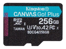 Kingston SDCG4/256GBSP                  Main Image from Front