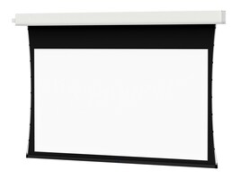 Da-Lite Screen Company 89954LS                        Main Image from Right-angle