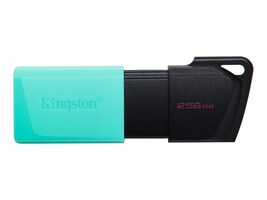 Kingston DTXM/256GB Main Image from Front