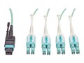 Tripp Lite MTP MPO to 8 x LC Fan-out Cable with Push Pull Tab Connectors, Aqua, 1m, N844-01M-8LC-PT, 18035885, Cables Tripp Lite MTP MPO to 8 x LC Fan-out Cable with Push Pull Tab Connectors, Aqua, 1m, N844-01M-8LC-PT, 18035885, Cables