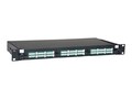 Tripp Lite 36-Port LC LC Rackmount Fiber Enclosure Feed Through Patch Panel 1U, N492-036-LCLC-E, 17058807, Patch Panels