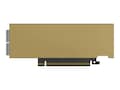NVIDIA NVIDIA CONNECTX-8 C8240 HHHL S, 900-9X81Q-00CN-ST0 , 42069944, Network Adapters & NICs NVIDIA NVIDIA CONNECTX-8 C8240 HHHL S, 900-9X81Q-00CN-ST0 , 42069944, Network Adapters & NICs