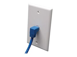 Tripp Lite N204-010-BL-DN Main Image from Close-up