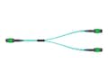 NVIDIA MPO12 APC to 2xMPO12 APC MMF Passive Fiber Cable, 20m, MFP7E20-N020, 41596405, Cables NVIDIA MPO12 APC to 2xMPO12 APC MMF Passive Fiber Cable, 20m, MFP7E20-N020, 41596405, Cables